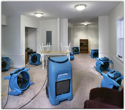 Drying & Dehumidification in Bloomingdale, FL