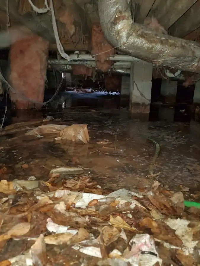 Crawl space flood assessment for Commercial Water Damage Restoration in Bloomingdale