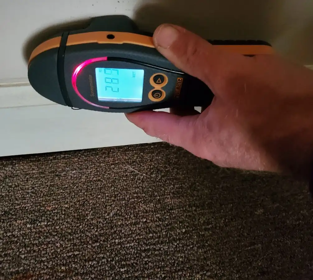 Moisture detection at baseboard during Mold Inspection & Testing in Bloomingdale